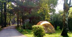 Camping pitches-4