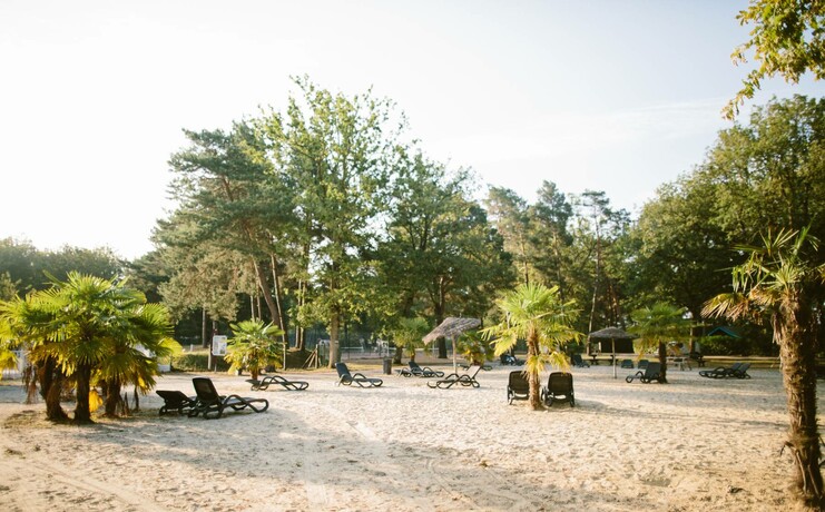 23_heliomonde (2)_0.jpg
